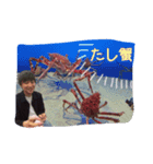 こうきーん（個別スタンプ：13）