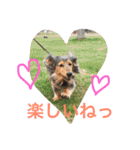 モカココ ダックス1（個別スタンプ：1）