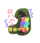 モカココ ダックス1（個別スタンプ：19）