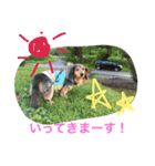 モカココ ダックス1（個別スタンプ：23）