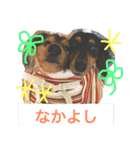 モカココ ダックス1（個別スタンプ：24）