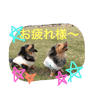 モカココ ダックス1（個別スタンプ：26）