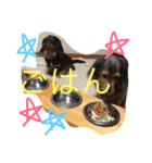 モカココ ダックス1（個別スタンプ：35）
