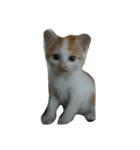 ねこのトラジン（個別スタンプ：7）