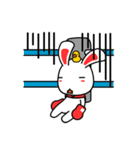 boxer rabbit（個別スタンプ：14）