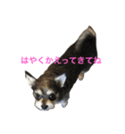 エースくん3（個別スタンプ：8）