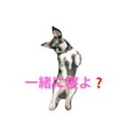 エースくん3（個別スタンプ：11）
