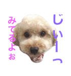 気ままなここにゃん♡第2弾（個別スタンプ：1）