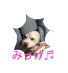 気ままなここにゃん♡第2弾（個別スタンプ：2）