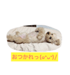 気ままなここにゃん♡第2弾（個別スタンプ：3）