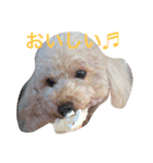 気ままなここにゃん♡第2弾（個別スタンプ：6）