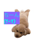 気ままなここにゃん♡第2弾（個別スタンプ：8）