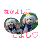 気ままなここにゃん♡第2弾（個別スタンプ：12）