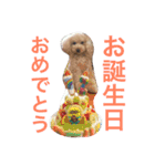 気ままなここにゃん♡第2弾（個別スタンプ：16）