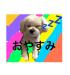 Remooonwww（個別スタンプ：1）