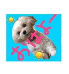 Remooonwww（個別スタンプ：2）