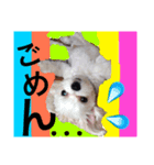 Remooonwww（個別スタンプ：4）