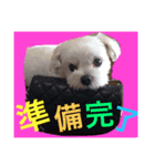 Remooonwww（個別スタンプ：5）