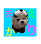 Remooonwww（個別スタンプ：8）