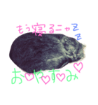 うちのチョコにゃん（個別スタンプ：8）
