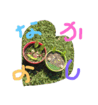 Fun stamp Fun stamp（個別スタンプ：24）