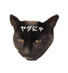 Fukumoto fam.（個別スタンプ：14）