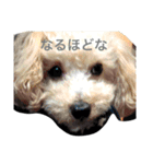Fukumoto fam.（個別スタンプ：15）