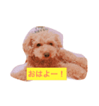 moka.y（個別スタンプ：1）