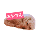 moka.y（個別スタンプ：2）