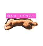 moka.y（個別スタンプ：3）