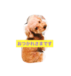 moka.y（個別スタンプ：4）