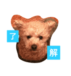 moka.y（個別スタンプ：5）