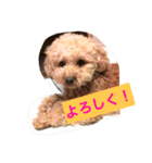 moka.y（個別スタンプ：7）