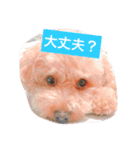 moka.y（個別スタンプ：8）
