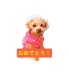 moka.y（個別スタンプ：9）