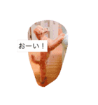 moka.y（個別スタンプ：12）
