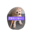 moka.y（個別スタンプ：16）