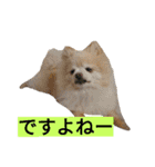 わんこ手芸部のなかまたち（個別スタンプ：4）