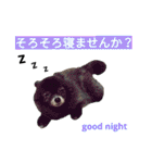 わんこ手芸部のなかまたち（個別スタンプ：7）