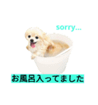 わんこ手芸部のなかまたち（個別スタンプ：9）