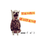 わんこ手芸部のなかまたち（個別スタンプ：14）