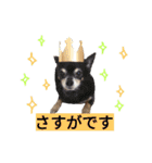 わんこ手芸部のなかまたち（個別スタンプ：25）