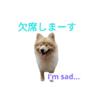 わんこ手芸部のなかまたち（個別スタンプ：27）