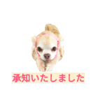 わんこ手芸部のなかまたち（個別スタンプ：30）
