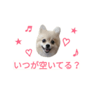 わんこ手芸部のなかまたち（個別スタンプ：36）