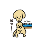 ダックスサヤちゃんのサーフィンスタンプ（個別スタンプ：3）