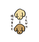 ダックスサヤちゃんのサーフィンスタンプ（個別スタンプ：11）