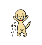 ダックスサヤちゃんのサーフィンスタンプ（個別スタンプ：24）