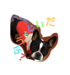 衛藤家の…（個別スタンプ：3）