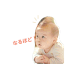 K-P stamp（個別スタンプ：29）